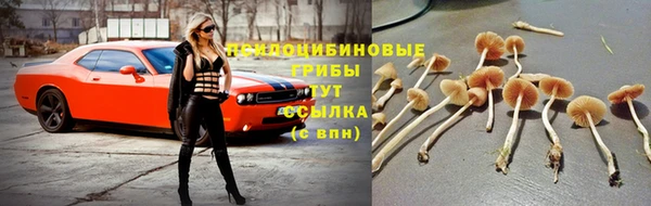 кристаллы Магадан