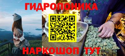 тгк Гай